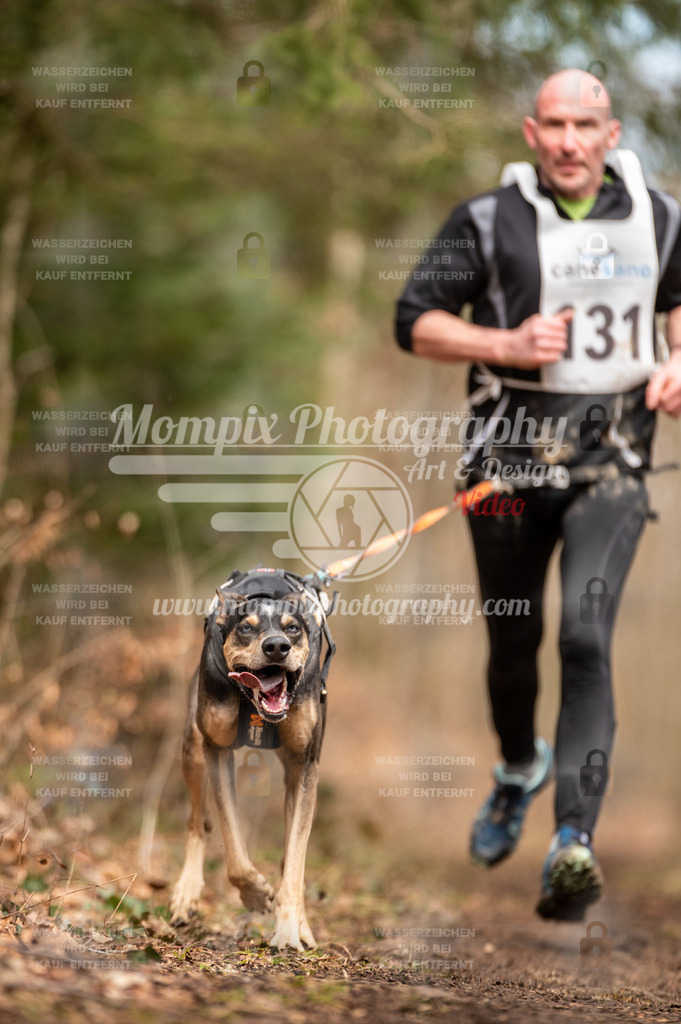 Reiat2023_SAM_CaniXRun_5km_M-9 | PayLife