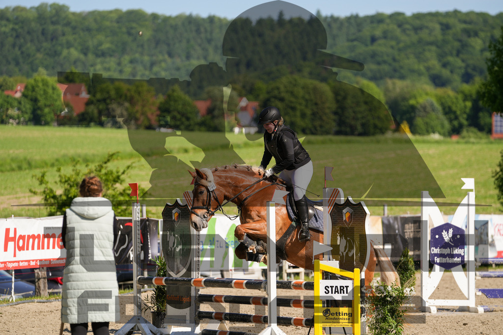 DSC02083 | Julian Held Fotografie - Realisiert mit Pictrs.com