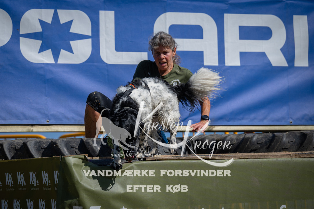 1146_ZZ92342 | kk-dogfotos