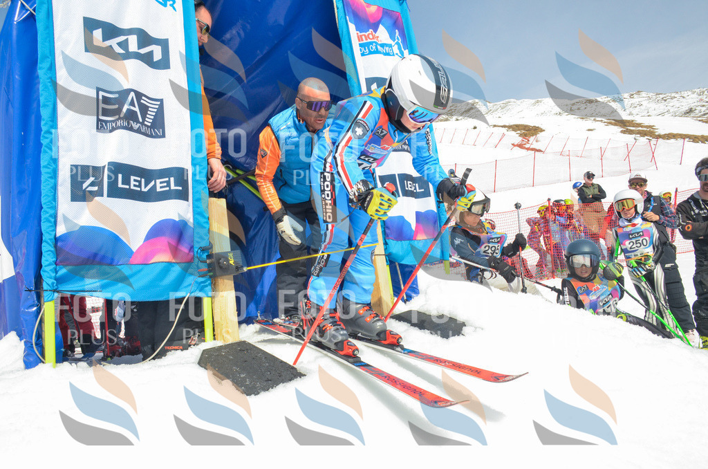 _ELE7158 | holidayphoto