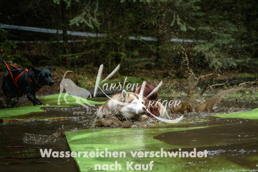 1548_ZZ92051-Bearbeitet | kk-dogfotos