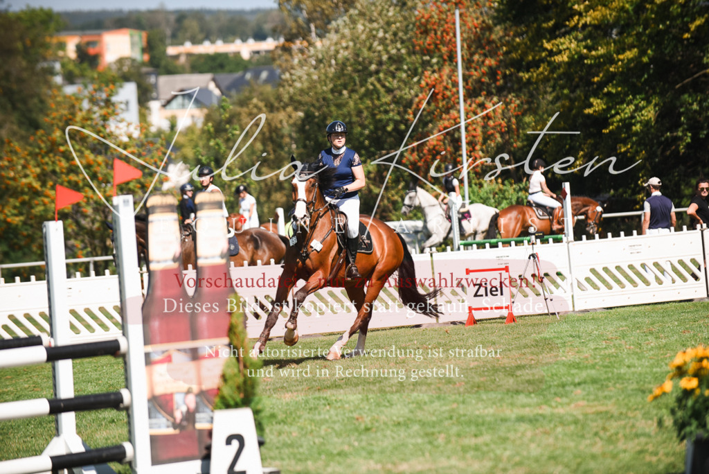 DSC_2793 | Pferde- und Turnierfotografie in Westsachsen. Pferdeportraits, Auftragszeichnungen und intuitive Kunst.