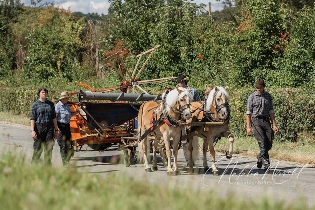 7V6A1898 | natalia-nirschl-photography
