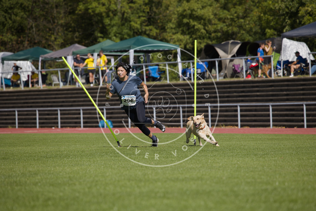 0L8A7089 | Hundefotografie, Tierfotograf, Pfotenfotografie, Fotoshooting Hund, Hunde Portrait, Hundesport, Hundeportraits, Heideshooting, Hunde, Sportfotograf, Hundefotograf, Turnierhundsport, THS,  - Realisiert mit Pictrs.com