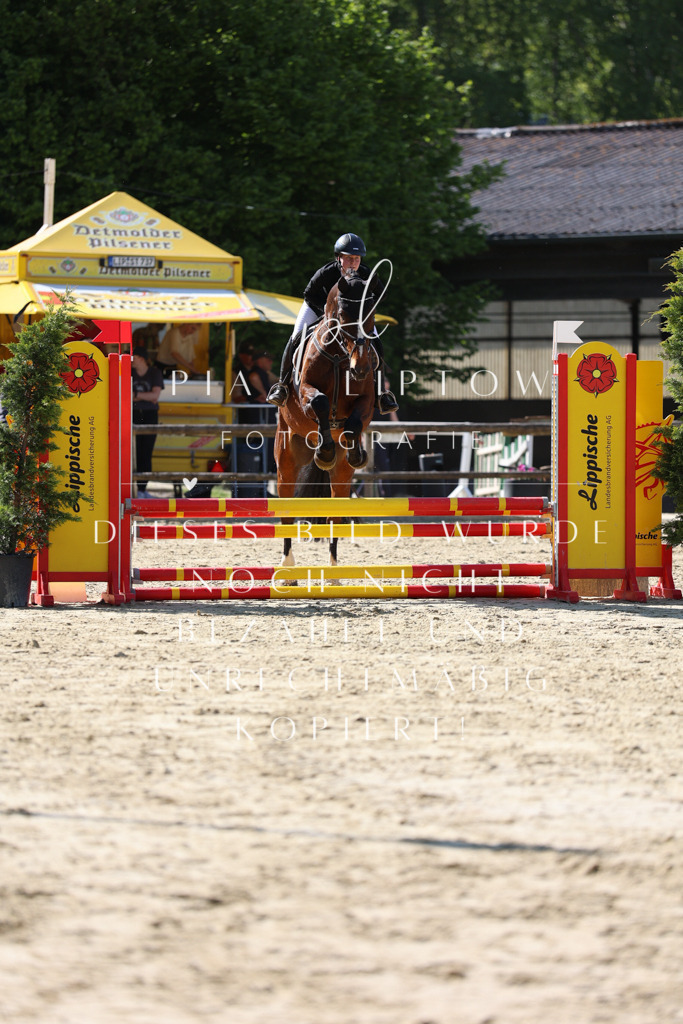 IMGS4962 | pl-fotografie