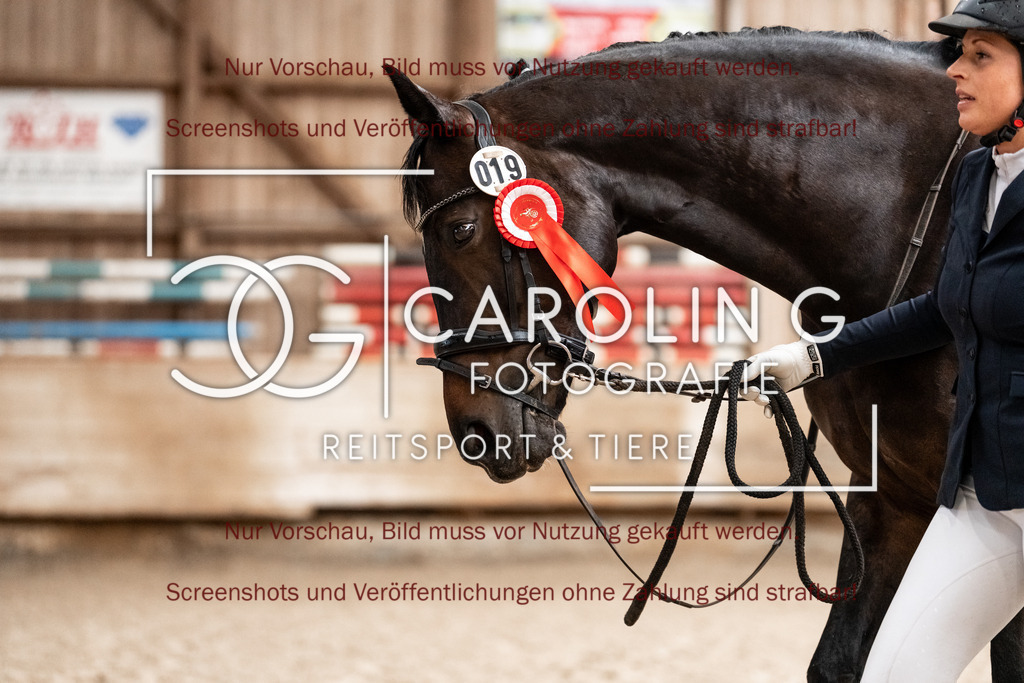 DSC06302 | Turnierfotografin Carolin Gieschke, Turnierfotografie Carolin G Fotografie, Turnierfotos Kirchheim/Teck, Esslingen, Stuttgart, Bodenseekreis