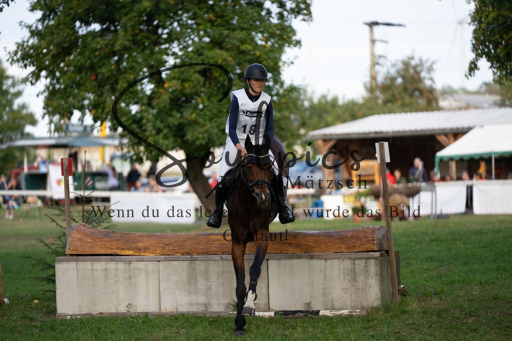 A7V03056 | Turnier/Reitfotograf