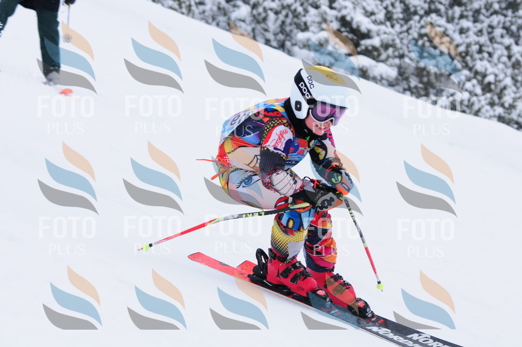 C3392 | holidayphoto