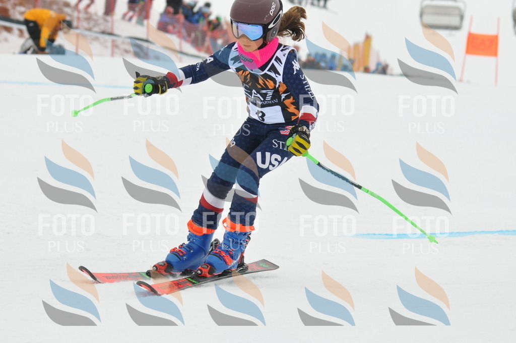 DSC_7373 | holidayphoto