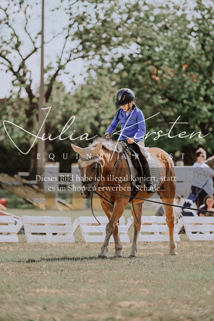 DSC_7518 | Pferde- und Turnierfotografie in Westsachsen. Pferdeportraits, Auftragszeichnungen und intuitive Kunst.