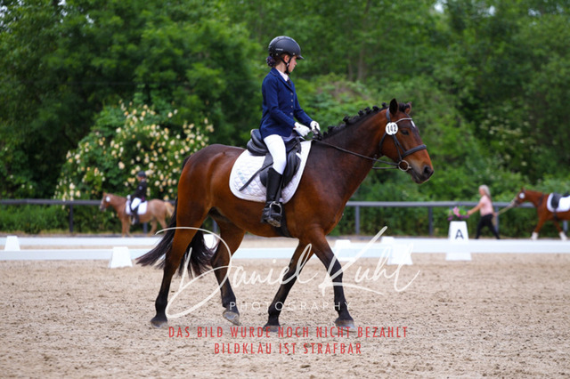DKP46257 | Turnierfotos kaufen im Webshop von Daniel Kuhl Photography – entdecke professionelle Reitsportfotos aus Turnieren & Events. Hochwertige Turnierbilder online bestellen & sichern. Jetzt Fotos von Reitsportturnieren kaufen!