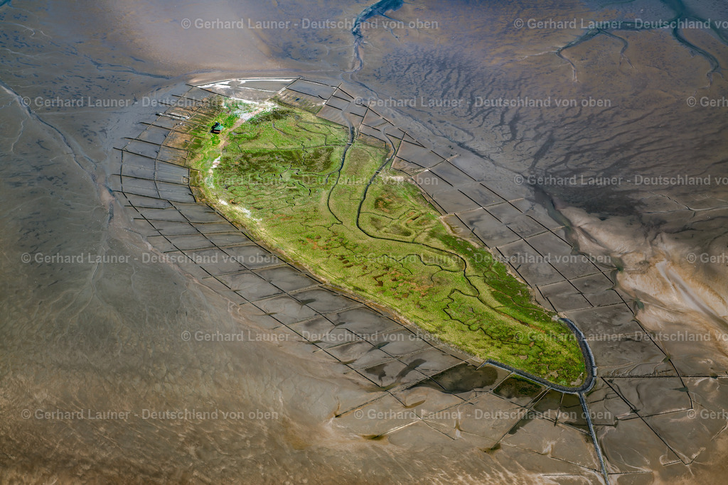 3801912 | Vogelfreistätte Hallig Norderoog, Nationalpark Schleswig-Holsteinisches Wattenmeer