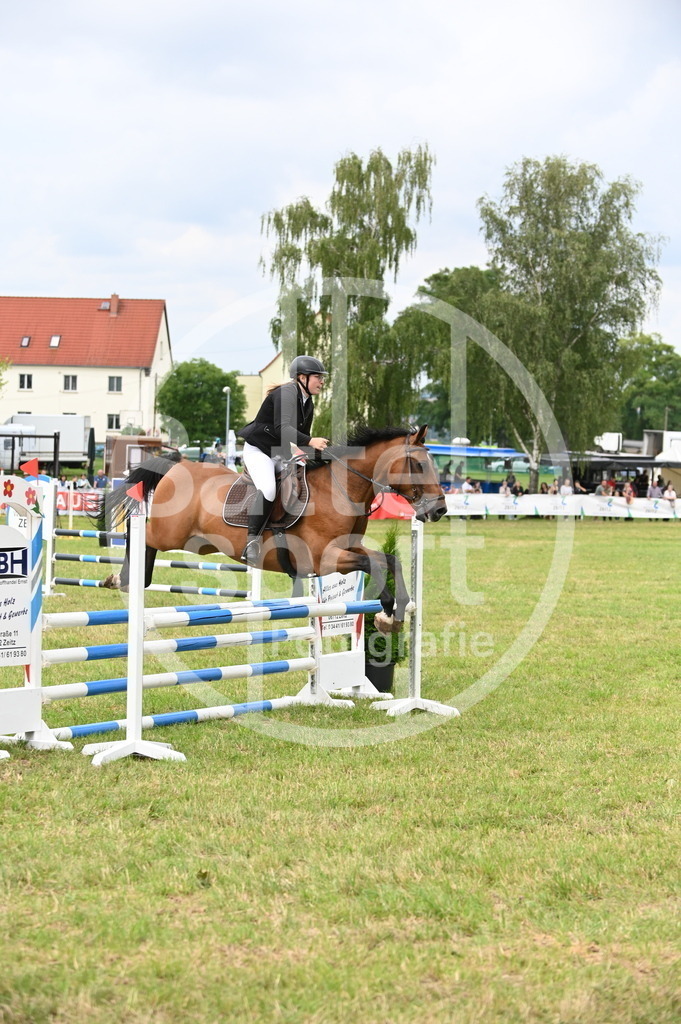 DSC_1604 | sattelsport - Realisiert mit Pictrs.com