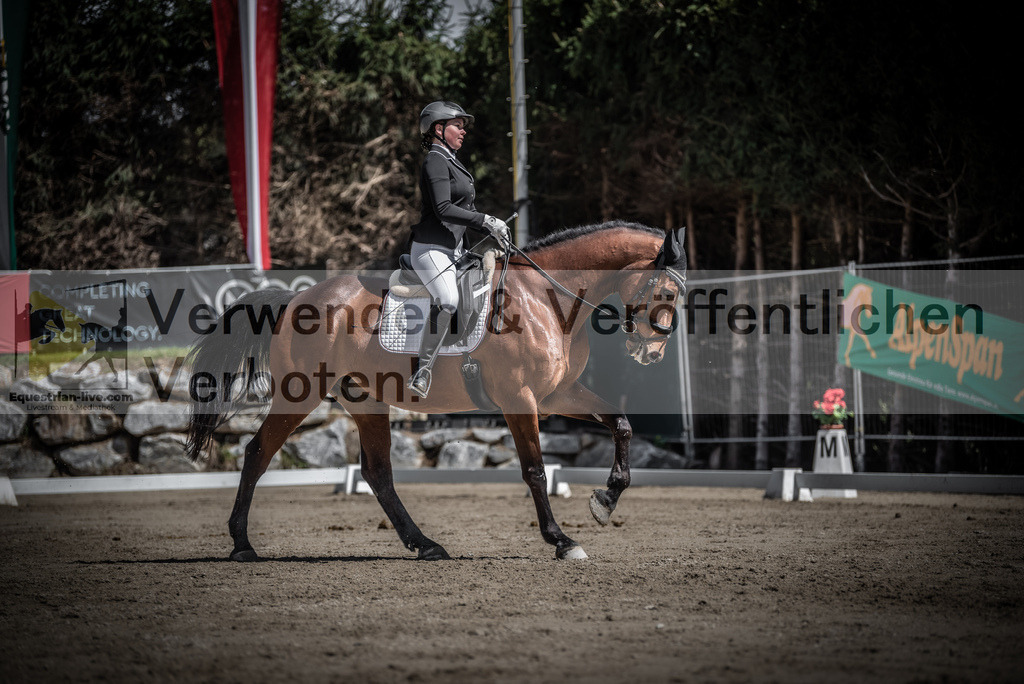 DSC_0486 | equestrian-live-com