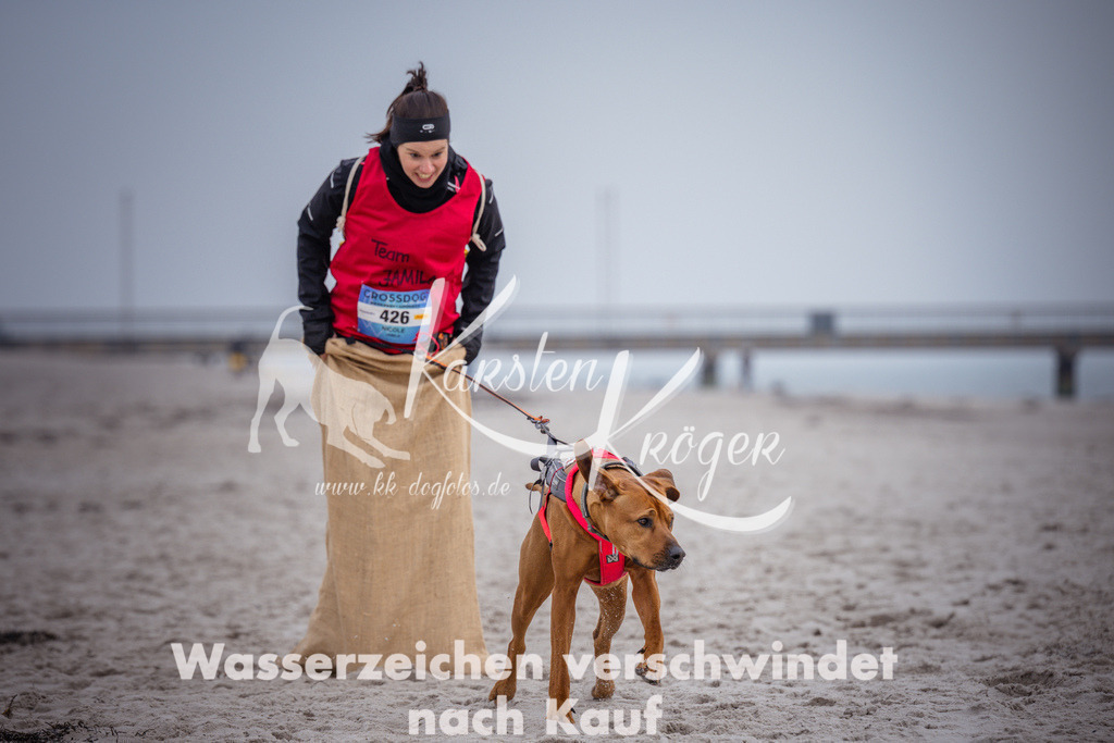 1206_ZZ91993 | kk-dogfotos