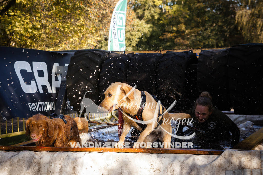 1045_ZZ92746 | kk-dogfotos