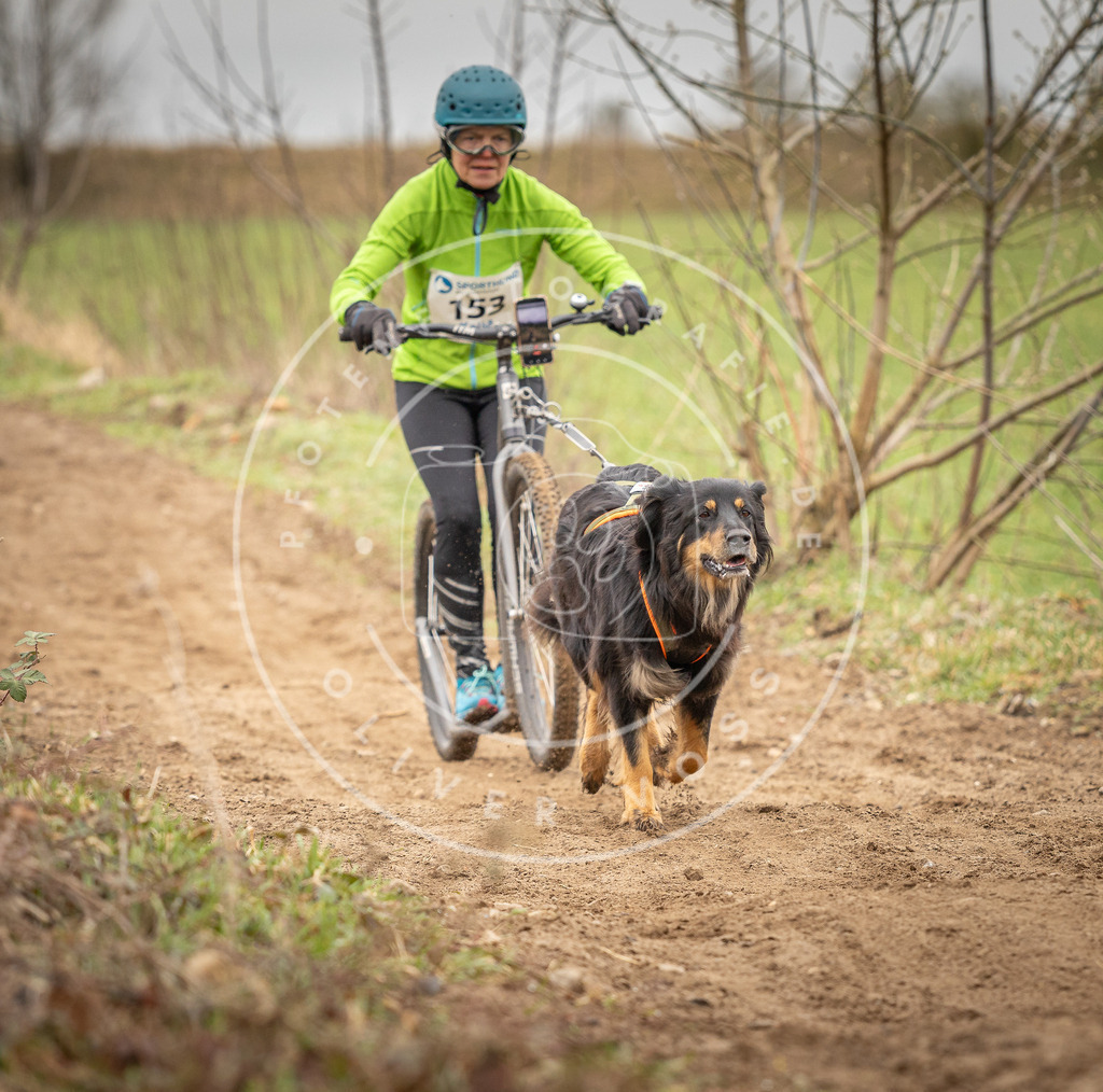 DV3A1558 | Hundefotografie, Tierfotograf, Pfotenfotografie, Fotoshooting Hund, Hunde Portrait, Hundesport, Hundeportraits, Heideshooting, Hunde, Sportfotograf, Hundefotograf, Turnierhundsport, THS,  - Realisiert mit Pictrs.com