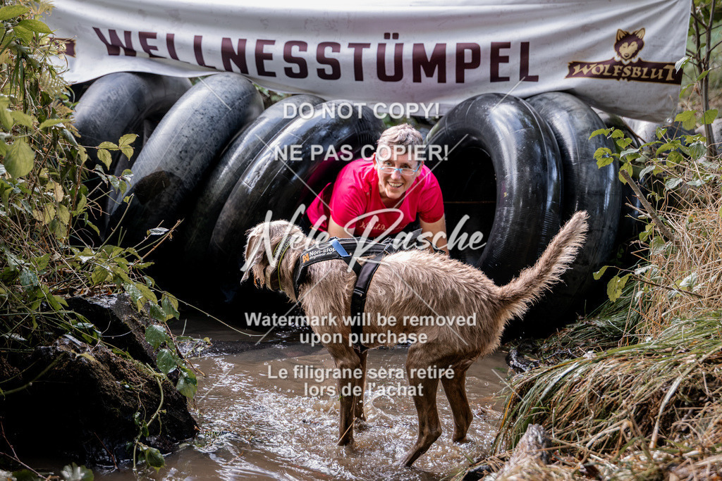 nelerasche_Hunsrück2026_Sa1400-1500_116 | nelerasche