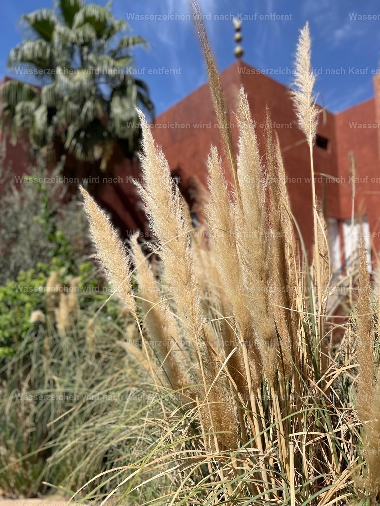 IMG_3241 | heikomoeller - Realisiert mit Pictrs.com