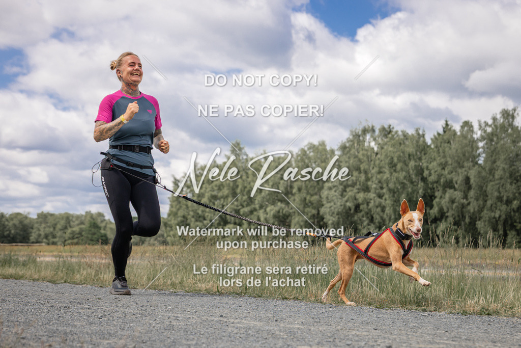 nelerasche_BuHu2026_SaCC1100-1200_180 | nelerasche