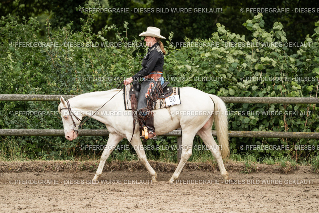 DSC04143 | Pferdegrafie