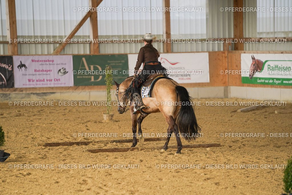 DSC01760 | Pferdegrafie