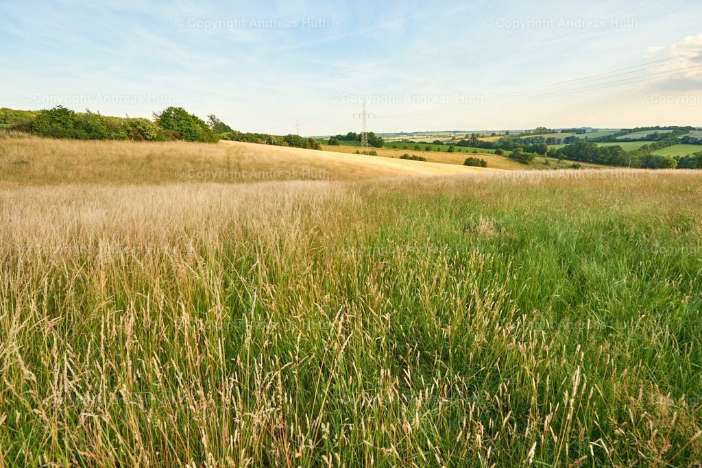 Blick nach Norden zwischen Leutewitz und Kaisitz | Bedeutsame Landschaften Deutschlands - Realisiert mit Pictrs.com