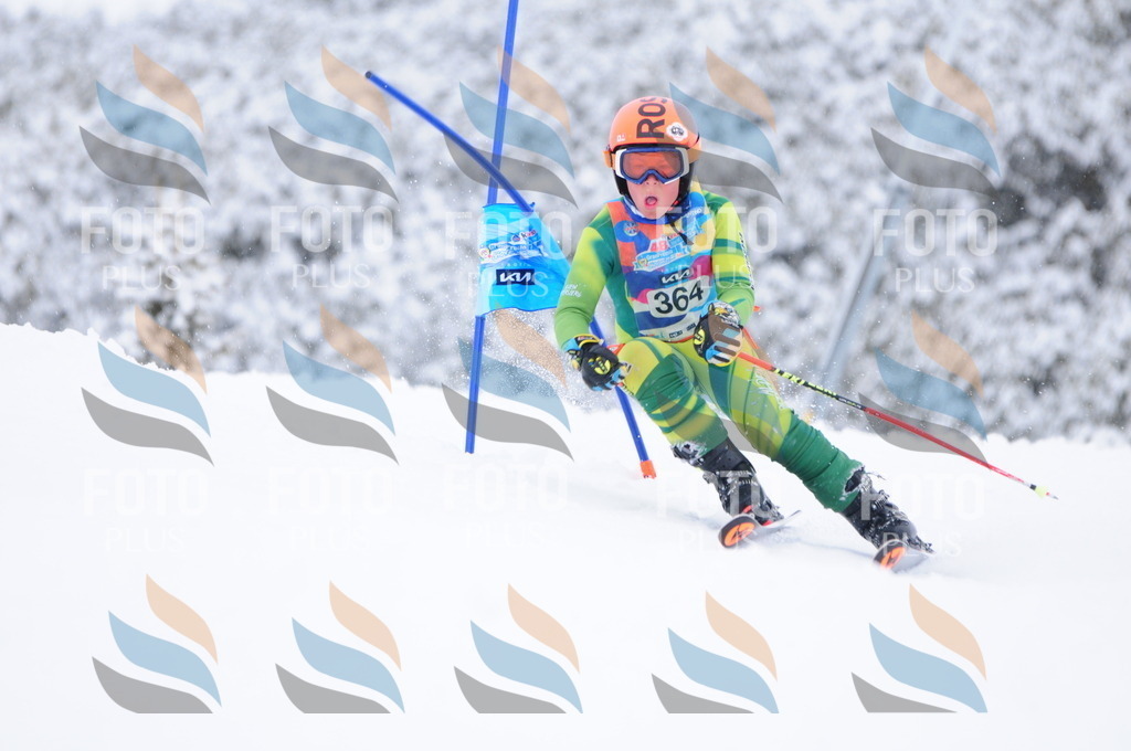 C3884 | holidayphoto