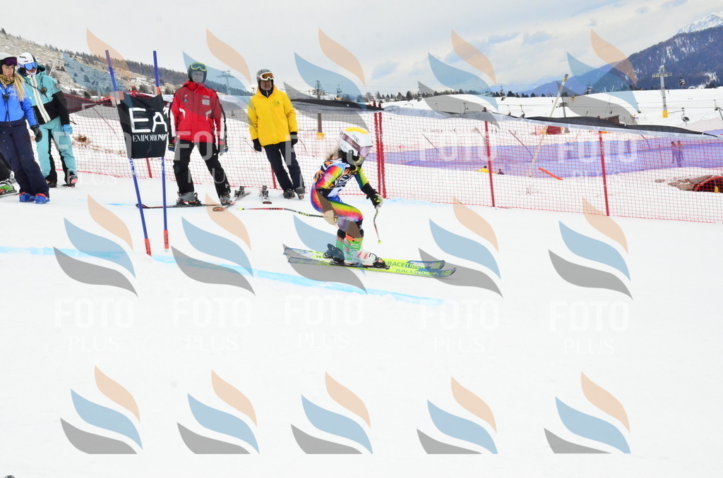 _ELE4049 | holidayphoto