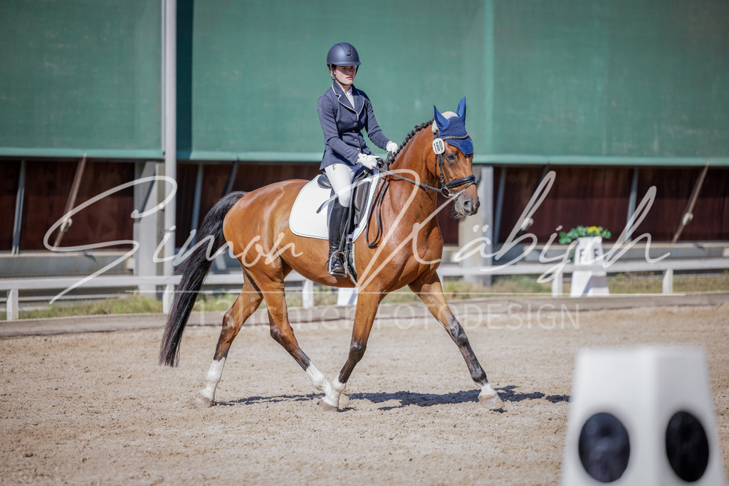20250906-_3LI3472 | Tierfotografie Pferde, Hunde, Katzen, Haustiere.
Turnierfotografie Reitturniere, Reiten, Springreiten, Dressur in Hanau, dem Main-Kinzig-Kreis und dem Rhein-Main- Gebiet um Frankfurt
