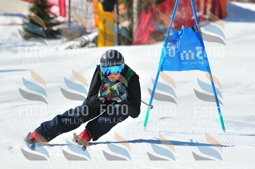 C3883 | holidayphoto