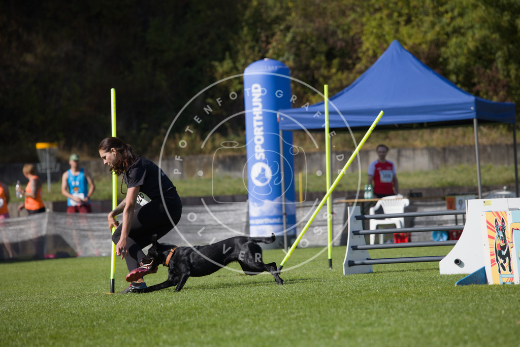 0L8A8604 | Hundefotografie, Tierfotograf, Pfotenfotografie, Fotoshooting Hund, Hunde Portrait, Hundesport, Hundeportraits, Heideshooting, Hunde, Sportfotograf, Hundefotograf, Turnierhundsport, THS,  - Realisiert mit Pictrs.com