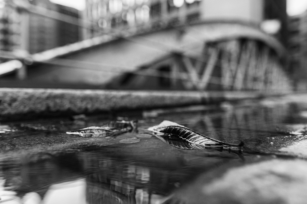 2023_01_15_HH-SPEICHSTADT+HAFENCITY_MCP6651 (Kopie) | Hochwertig gedruckte Fotografien für die Wand, als Kalender und zum Verschenken. Hamburg & Norddeutschland und überall wo ich mit der Kamera unterwegs war.