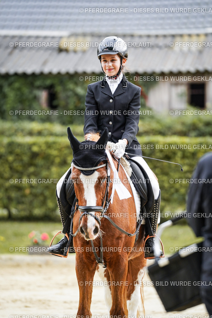 DSC05745 | Pferdegrafie