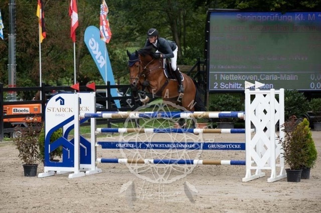 2B4A2520 | pixelfaenger - Realisiert mit Pictrs.com