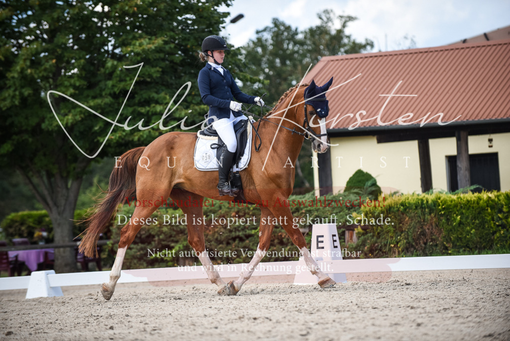 DSC_9371 | Pferde- und Turnierfotografie in Westsachsen. Pferdeportraits, Auftragszeichnungen und intuitive Kunst.