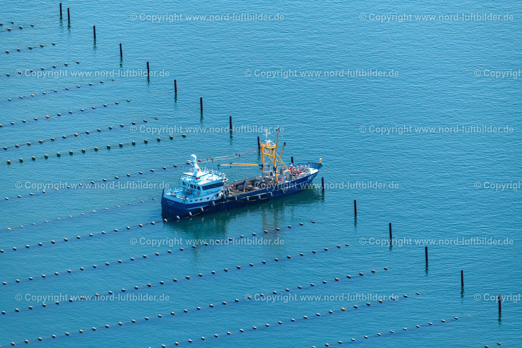Sylt_Hörnum_Johanna_Leintje_Wyk_2_ELS_9047130822 | HöRNUM (SYLT) 13.08.2022 Muschelkutter Schiff " Johanna Leintje " " WYK 2 "bei den Zuchnetzen der Miesmuschel an der Ostselte der Insel (Sylt) im Bundesland Schleswig-Holstein, Deutschland. // Mussel cutter ship "Johanna Leintje" "WYK 2" at the breeding nets of mussels on the eastern side of the island (Sylt) in the state Schleswig-Holstein, Germany. Foto: Martin Elsen