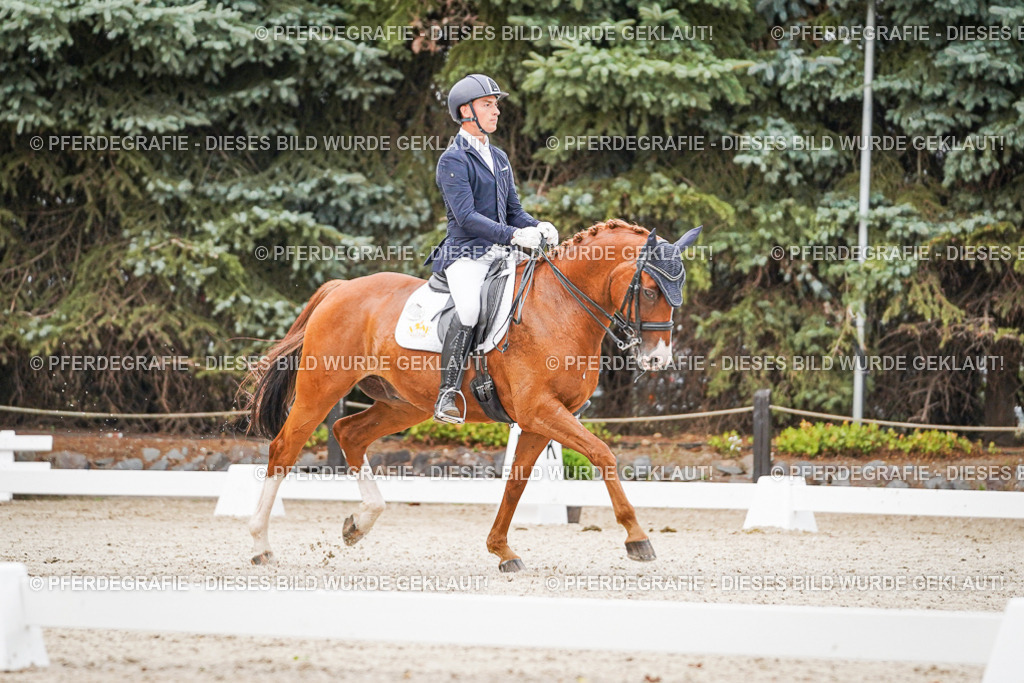 DSC08498 | Pferdegrafie