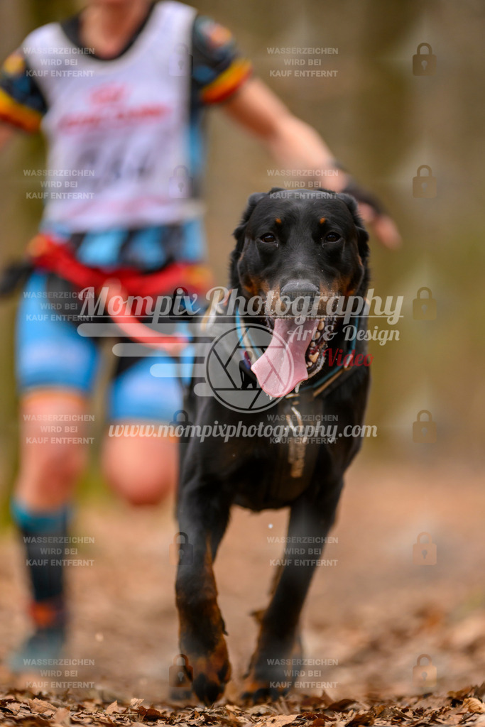 MompixPhotography_Habay2025_SA_CCC-55 | PayLife