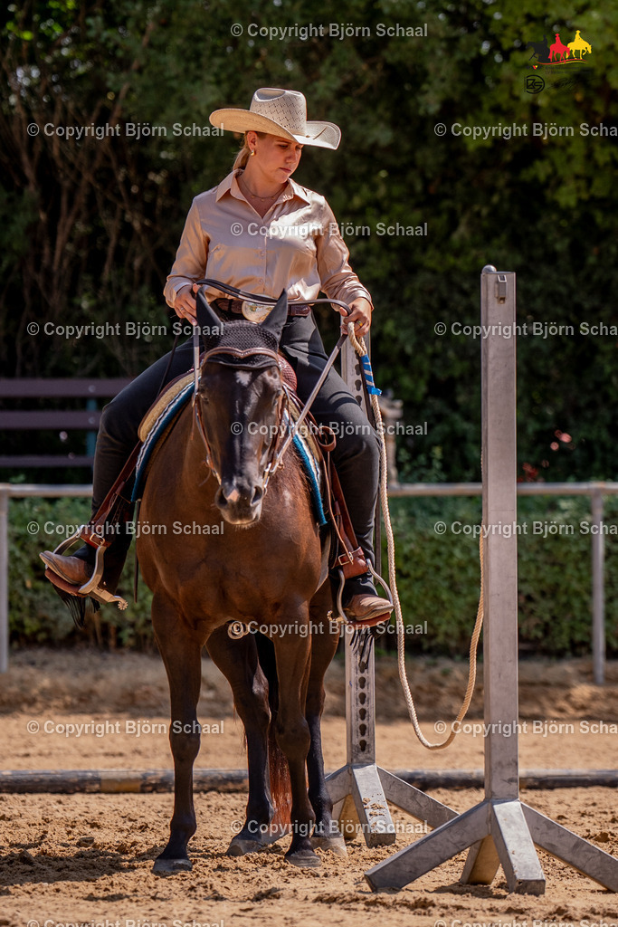 LMB03925 | BS-foto