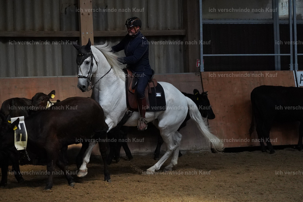 KlasseS_Lucie (68) | working equitationturnier fotograf videograf stoibphotography marixx film working equitation deutschland reitsport turnierfotografie eventfotografie equestrian events