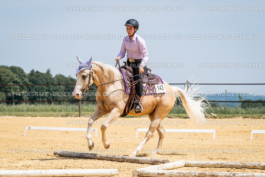 DSC01134 | Pferdegrafie