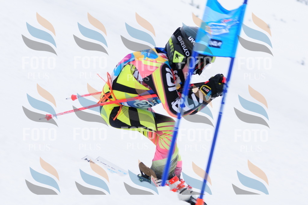 C2913 | holidayphoto