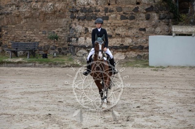 2B4A2284 | pixelfaenger - Realisiert mit Pictrs.com