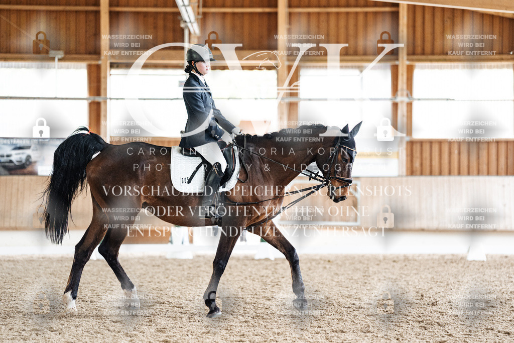 CK901770 | Turnierfotografie Pferdefotografie Trier Rheinland-Pfalz Pferdesport Reitsport Tierfotografie Sportfotografie Pferdevideo Pferdevideografie Equestrianvideography equestrianphotography  - Realisiert mit Pictrs.com