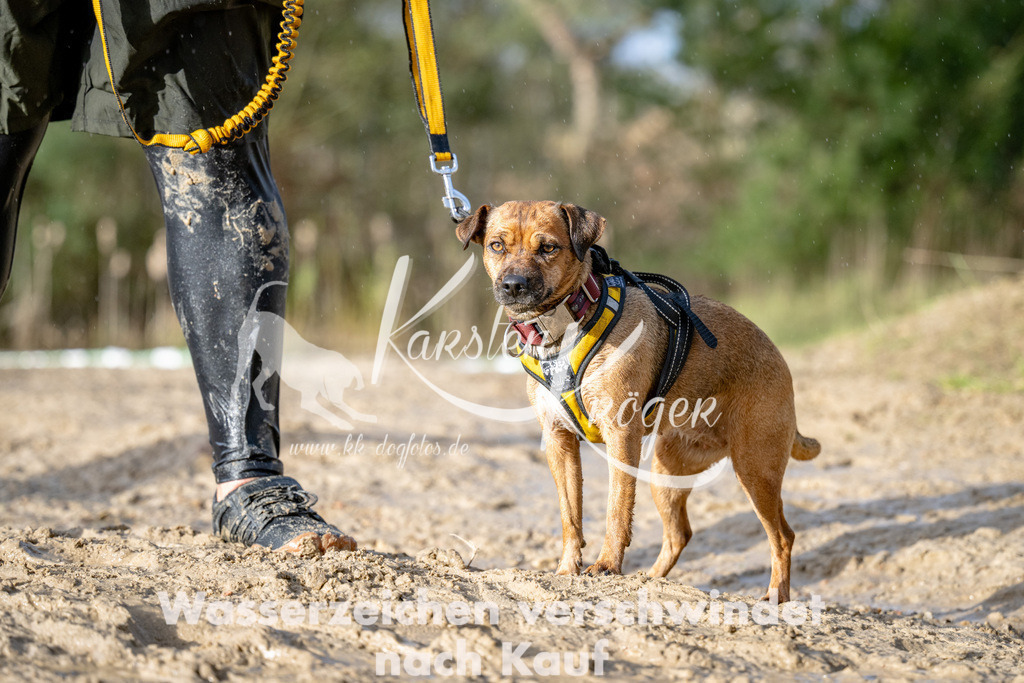 1700_ZZ90350 | kk-dogfotos