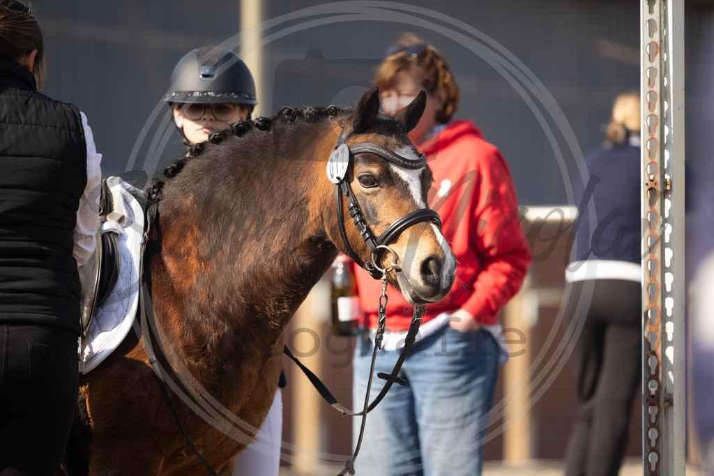 994A9669 | sabrinanicolaifotografie - Realisiert mit Pictrs.com