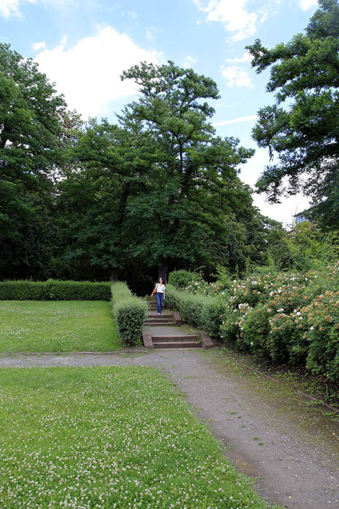 Mariannenpark - Rosengarten | Entdecke über 20 Kategorien Leipzig-Motive: Foto-Downloads, hochwertige Poster, Leinwand- & Fine-Art-Prints. Jetzt Lieblingsfoto im Bildlexikon Leipzig Shop bestellen!