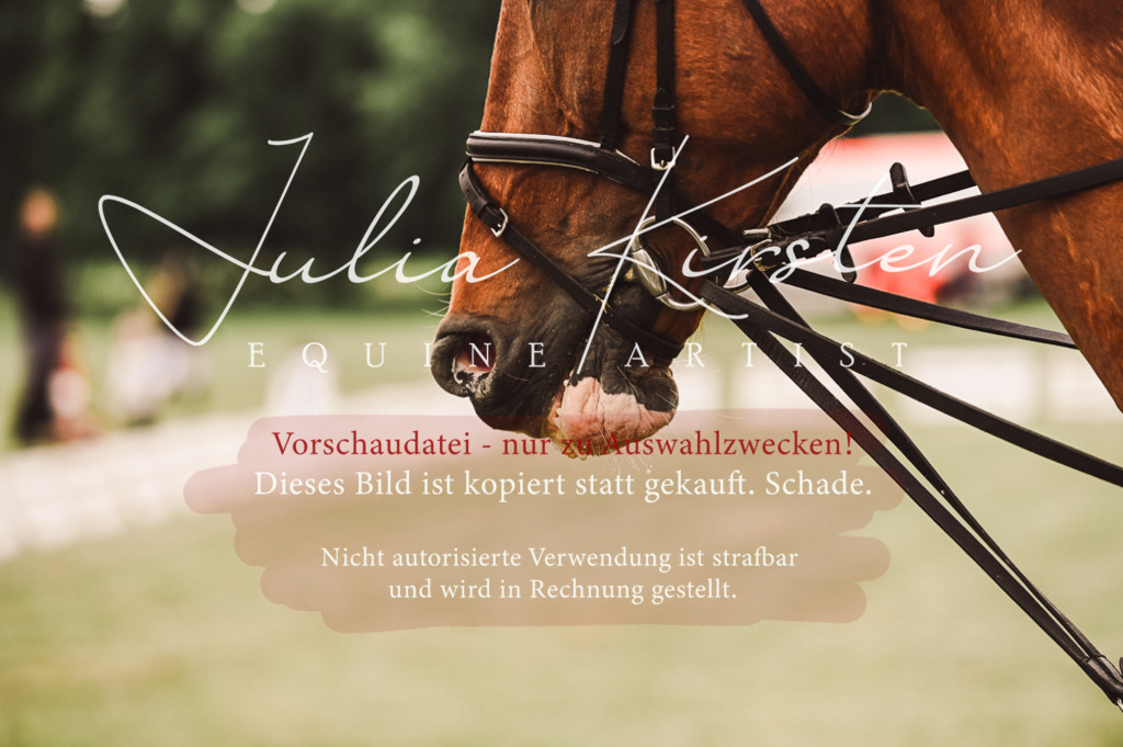 DSC_5132 | Pferde- und Turnierfotografie in Westsachsen. Pferdeportraits, Auftragszeichnungen und intuitive Kunst.