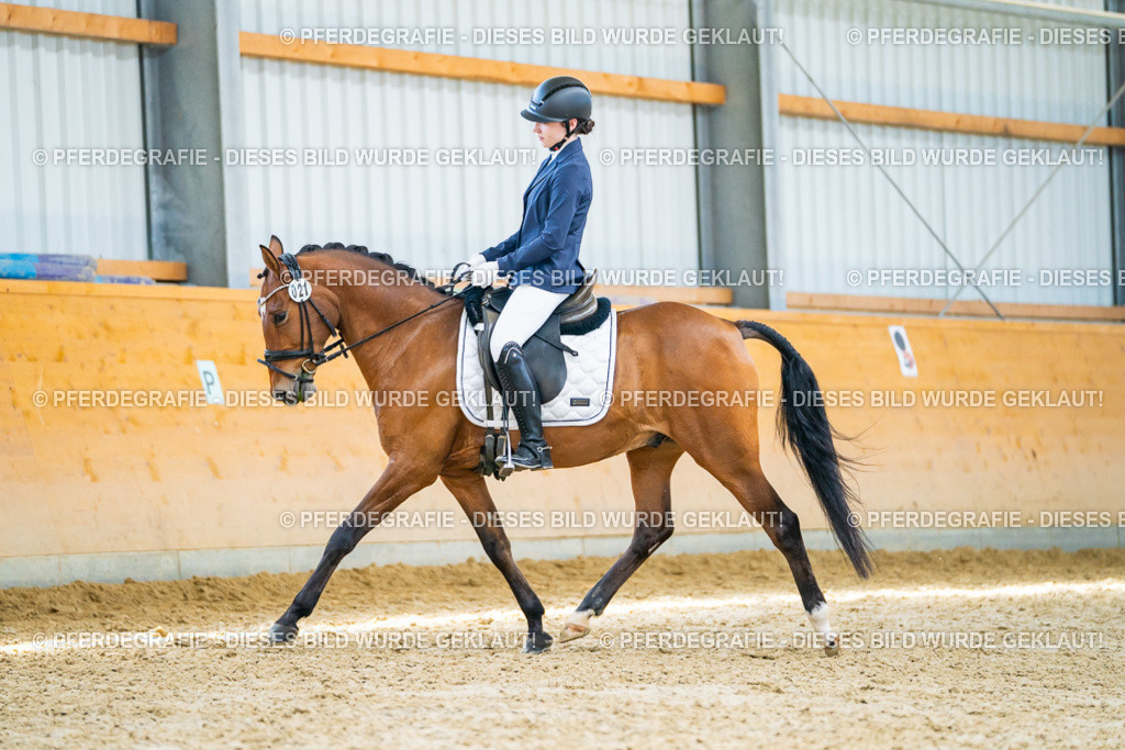 DSC08787 | Pferdegrafie